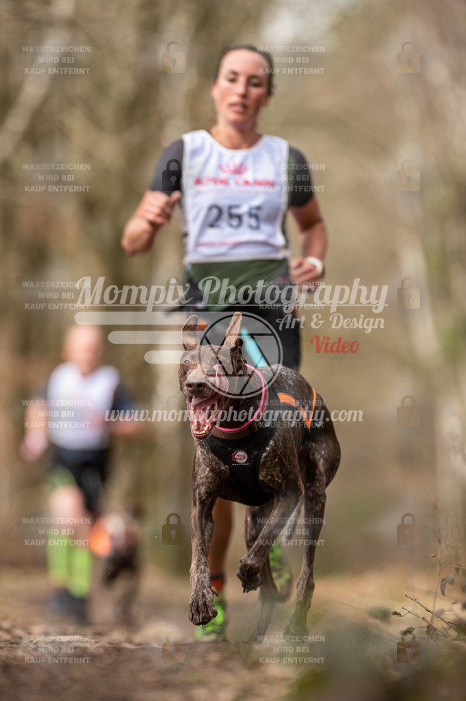 SPA_2023_SAM_CCK-10 | PayLife