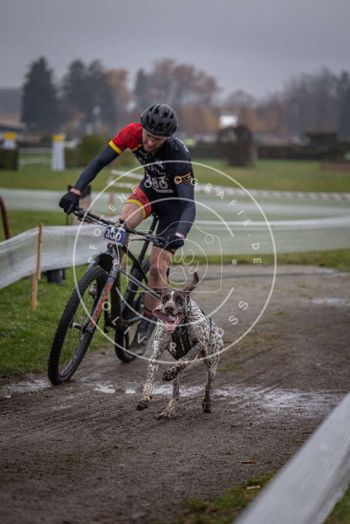 CaniXpix_0L8A1182 | Hundefotografie, Tierfotograf, Pfotenfotografie, Fotoshooting Hund, Hunde Portrait, Hundesport, Hundeportraits, Heideshooting, Hunde, Sportfotograf, Hundefotograf, Turnierhundsport, THS,  - Realisiert mit Pictrs.com