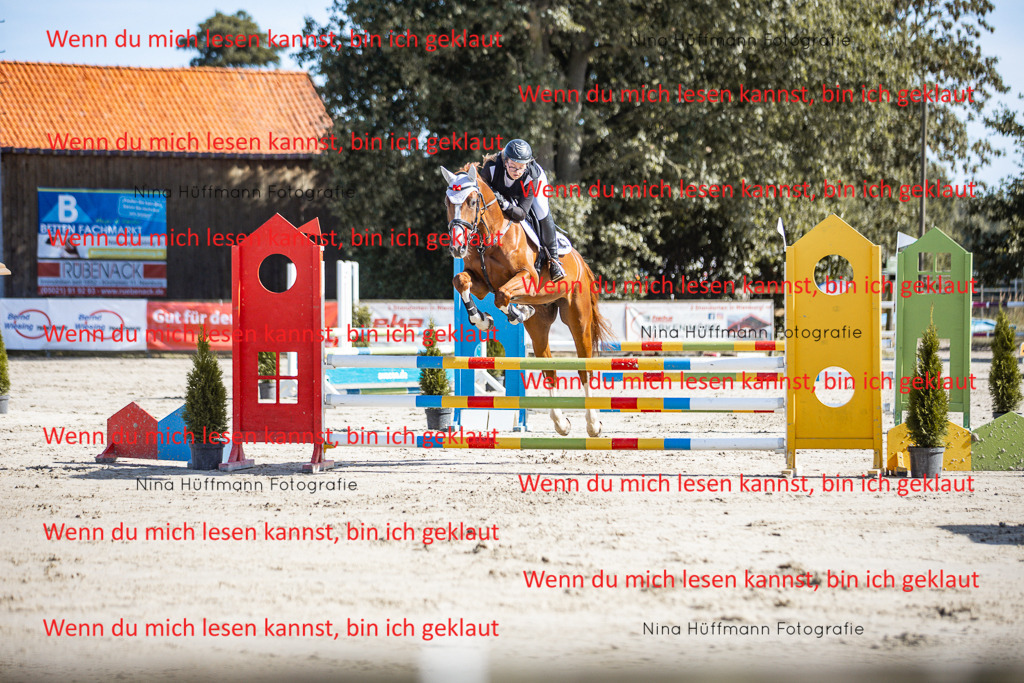 BK1A7080 | Turnierbilder Turnierfotos Nina Hüffmann Turnierfotografie Pferdefotografie Tierzeichnung Haustierzeichnung Pferdezeichnung Hundezeichnung Videograf  - Realisiert mit Pictrs.com