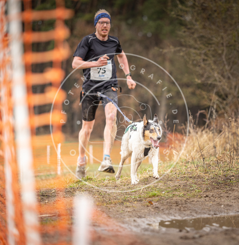 DV3A0260 | Hundefotografie, Tierfotograf, Pfotenfotografie, Fotoshooting Hund, Hunde Portrait, Hundesport, Hundeportraits, Heideshooting, Hunde, Sportfotograf, Hundefotograf, Turnierhundsport, THS,  - Realisiert mit Pictrs.com