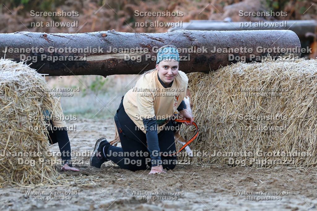 Dog Paparazzi - Strongdog 10-25-321 | Dog Paparazzi Jeanette Grottendiek Fotografie & Videografie - Realisiert mit Pictrs.com