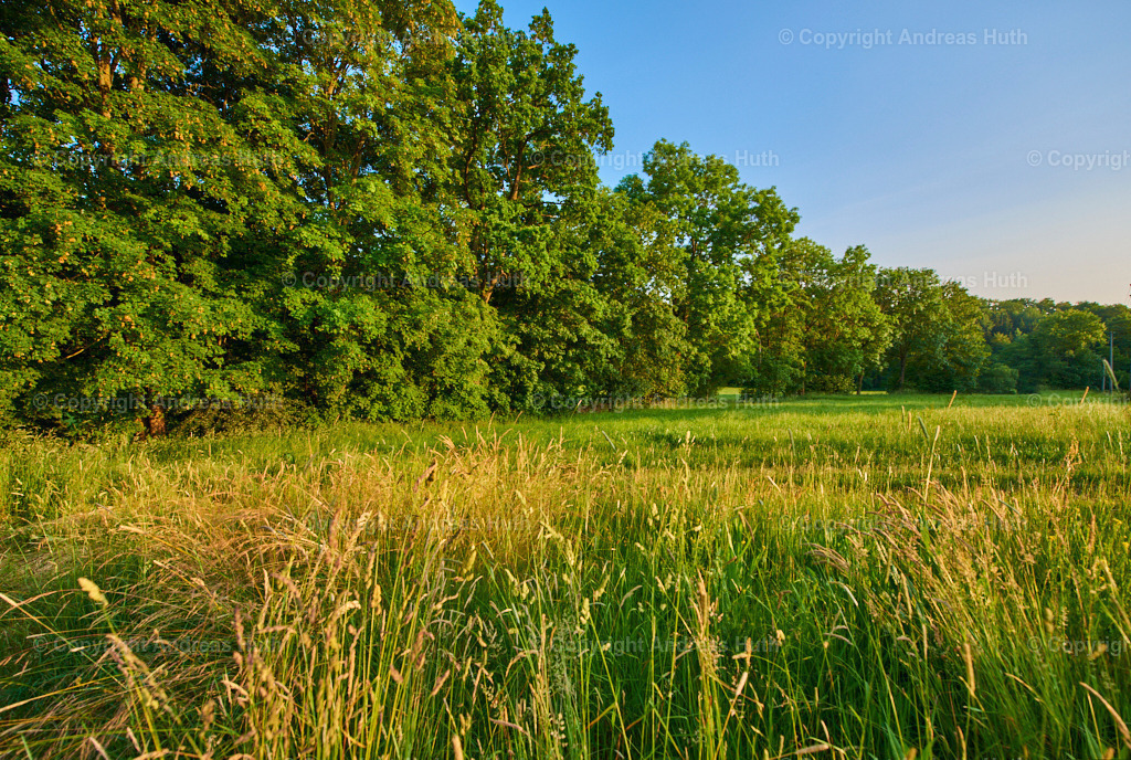 Im NSG Aumatal nahe der Prellmühle 02 | Bedeutsame Landschaften Deutschlands - Realisiert mit Pictrs.com
