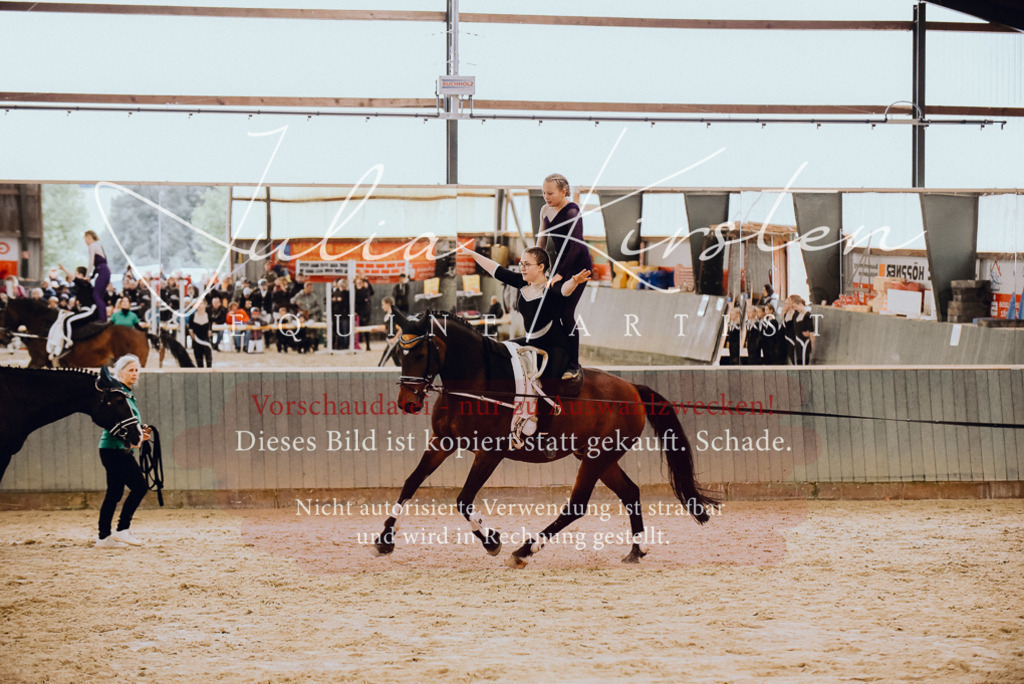DSC_6894 | Pferde- und Turnierfotografie in Westsachsen. Pferdeportraits, Auftragszeichnungen und intuitive Kunst.
