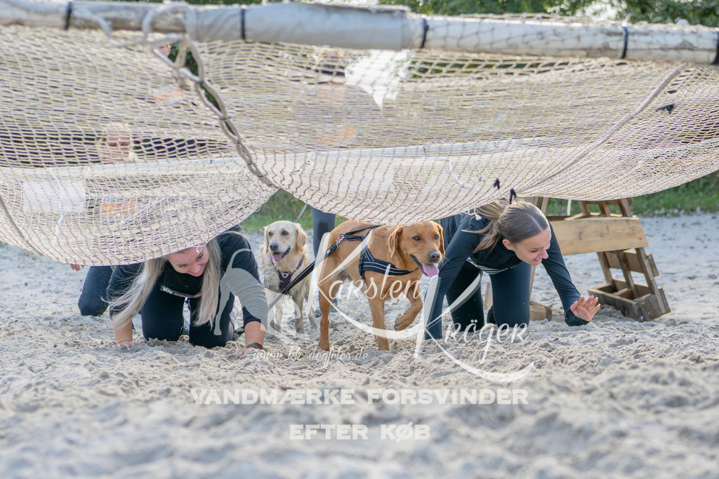 1244_ZZ92785 | kk-dogfotos