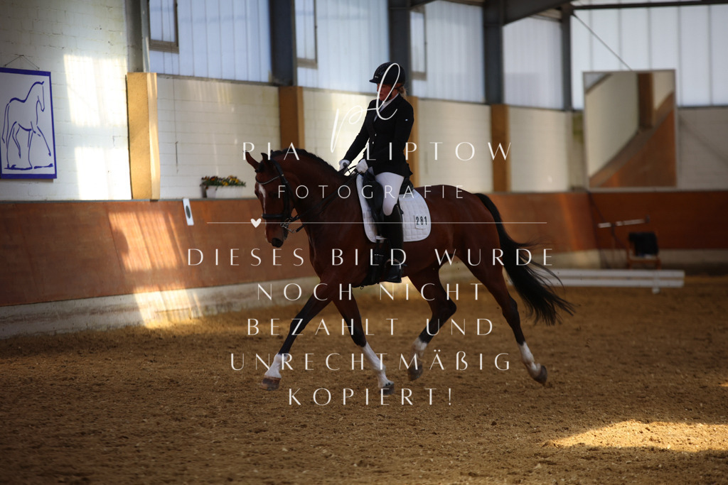 IMGT8454 | pl-fotografie