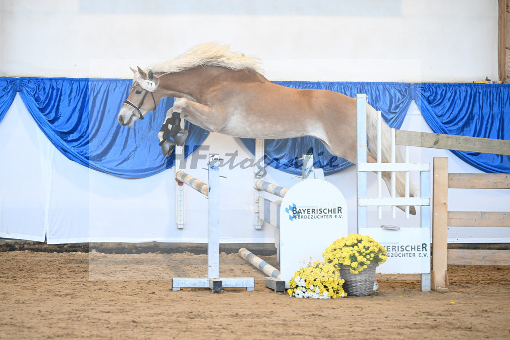 Kat-Nr. 21 nn v. Barion_Stecher_48250425 | hf-fotografie - Realisiert mit Pictrs.com