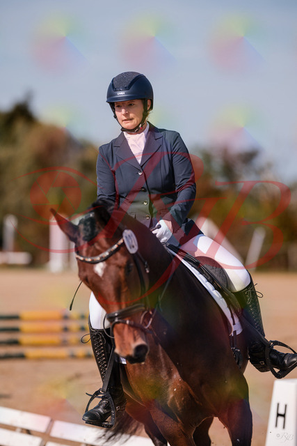 2026_10_03_Siefer-Hof_125739_Z81_46316772 | Professionelle Reitsport-, Turnier- und Eventfotografie von Robert Broda. Galerien mit ausgewählten und bearbeiteten Bildern direkt online ansehen und bestellen.