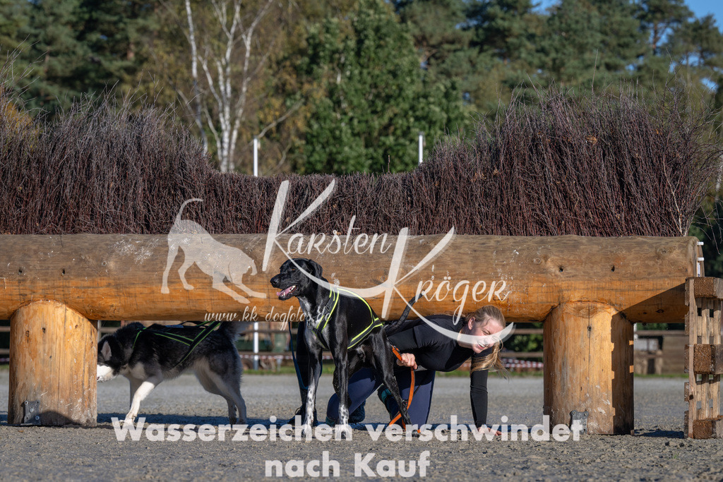 1022-_ZZ91009 | kk-dogfotos