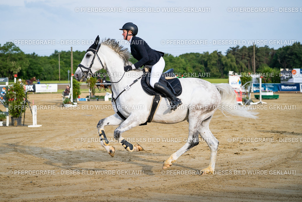 DSC02252 | Pferdegrafie