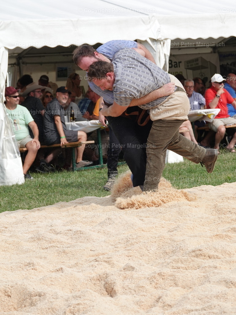 DSC05165 | Schwingen - Realisiert mit Pictrs.com