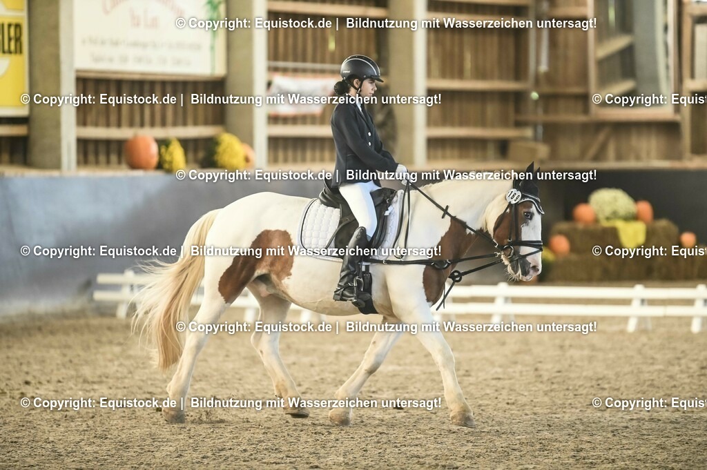 03_Reiter-WB_0216 | Foto: Thomas Hartig
