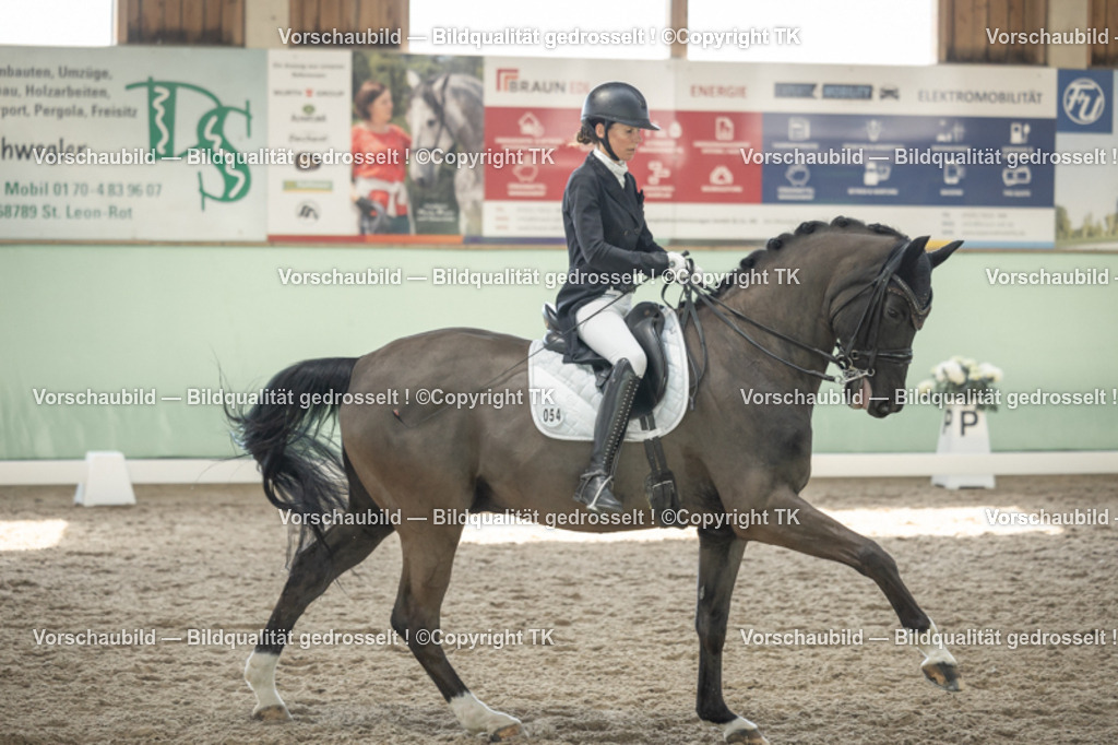 _D5A2200 | Emotionale Pferde- & People-Fotografie rund um Heidelberg, Leimen & Umgebung. Natürliche Fotos von Pferd, Mensch & Familie. Jetzt Termin sichern!