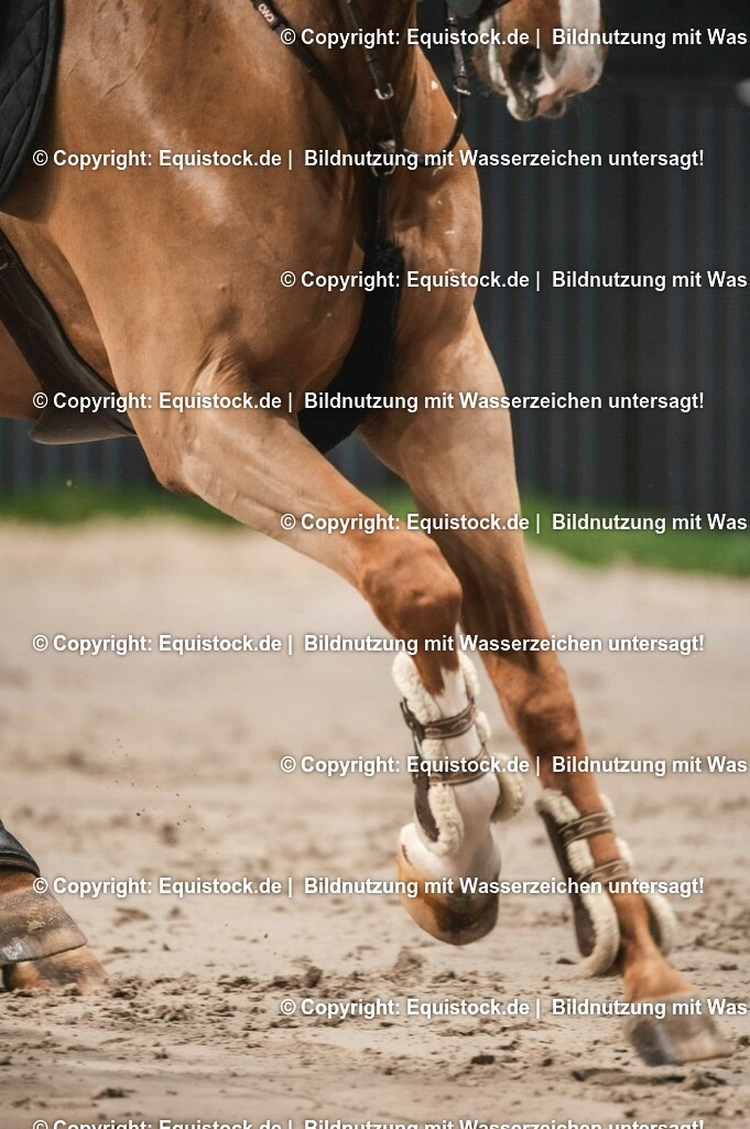 20231116_BW-Bank-Hallenchampionat_0408_TOMsPiC | Foto: Thomas Hartig