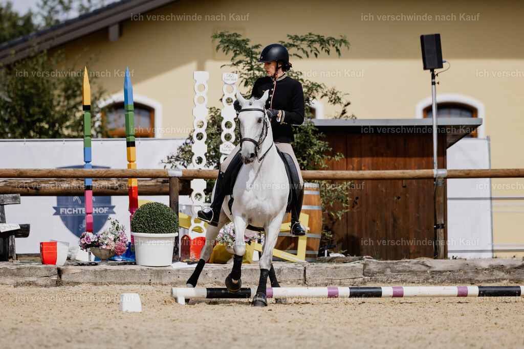 Virginie12FHC2025-20069 | working equitationturnier fotograf videograf stoibphotography marixx film working equitation deutschland reitsport turnierfotografie eventfotografie equestrian events