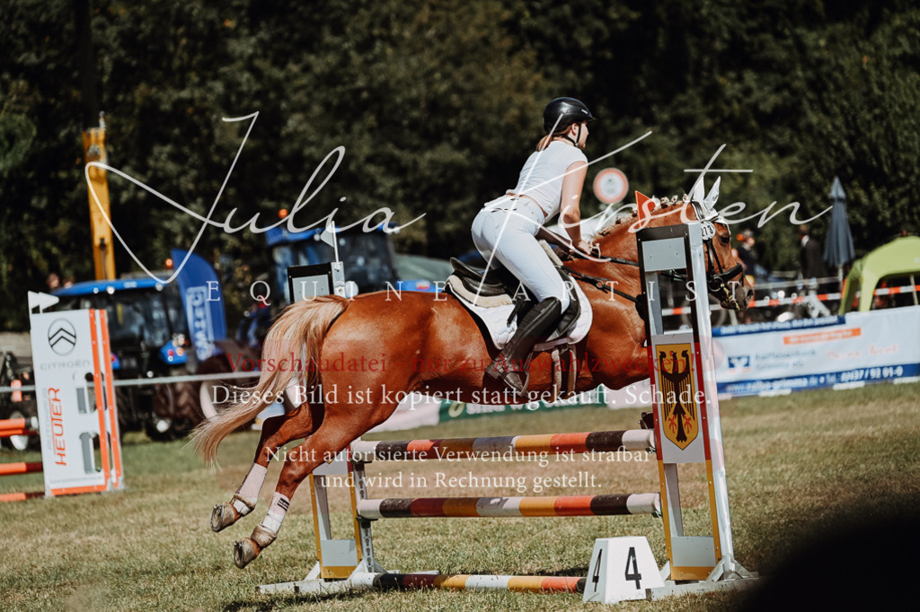 DSC_0022 | Pferde- und Turnierfotografie in Westsachsen. Pferdeportraits, Auftragszeichnungen und intuitive Kunst.