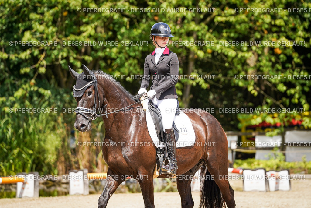 DSC01908 | Pferdegrafie