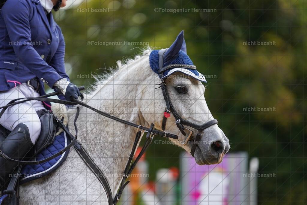 20221009-FAH08318 | Diessen am Ammersee, 2022, Dressur- und Springturnier, Reitsportbilder, Turnierfotografen Bayern, Pferdefotografen, Fotoagentur Herrmann, Turnierbilder