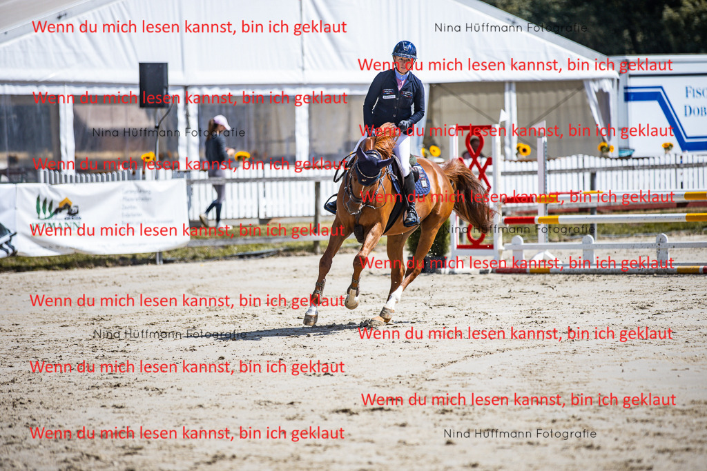 BK1A5040 | Turnierbilder Turnierfotos Nina Hüffmann Turnierfotografie Pferdefotografie Tierzeichnung Haustierzeichnung Pferdezeichnung Hundezeichnung Videograf  - Realisiert mit Pictrs.com