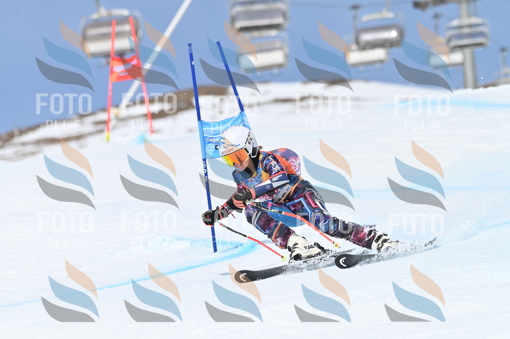 BGV_2762 | holidayphoto