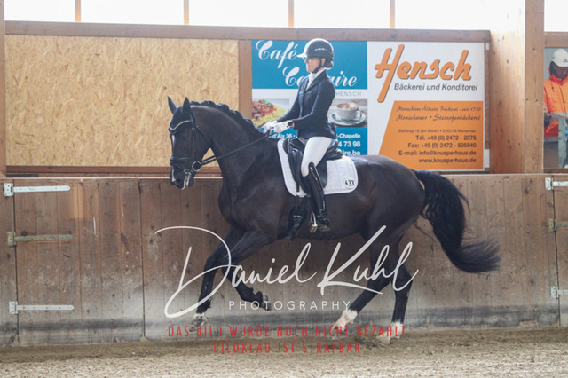 DKP43494 | Turniersportfotografie; Pferdefotografie; Dressurfotografie