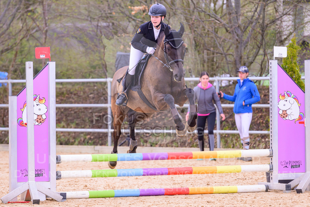 12042026-Mammendorf-Prfg40-1299 | Fokus Hufschlag Fotografie - Realisiert mit Pictrs.com