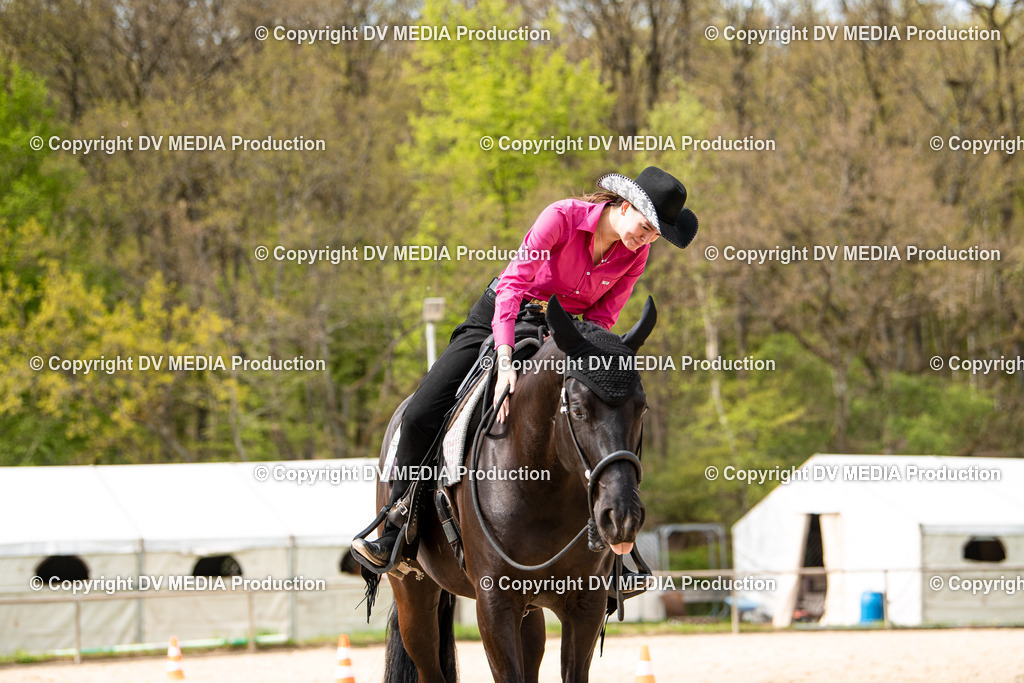 Heiligenwald Tag 1-763 | dv-media-shop - Realisiert mit Pictrs.com