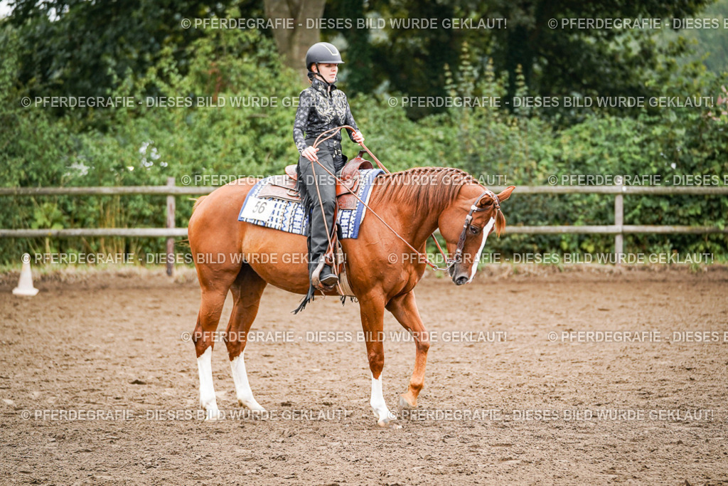 DSC02454 | Pferdegrafie