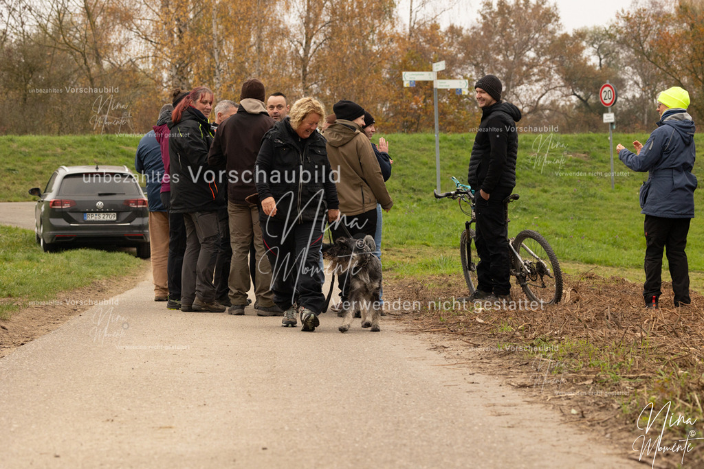 _16A0873 | Einzigartige Fotos von Hunden & Menschen –Actionfotos, Portraits, Vereinsaufnahmen & Paarshootings – authentisch, lebendig & mit Herz.
