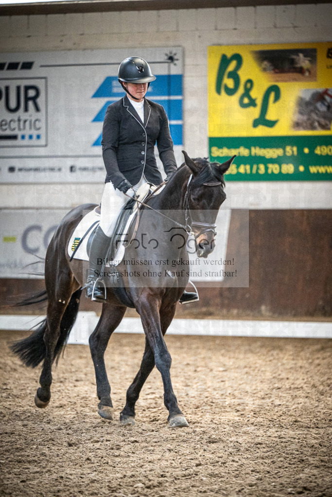 DOS_0555 | Entdecke hochwertige Reitturnierfotos von Foto Oger. Professionell, emotional und authentisch – jetzt Lieblingsmomente im Shop bestellen.Deutschlandweite Turnierfotografie. - Realisiert mit Pictrs.com