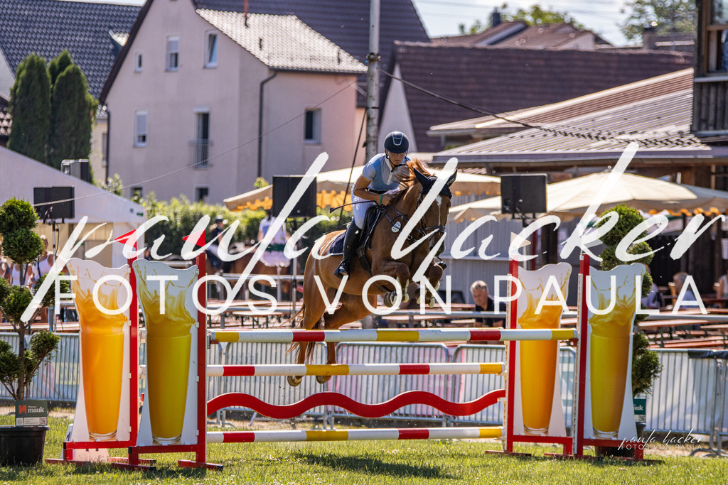 IMG_0173 | Erleben Sie dynamische Sport- und emotionale Tierfotografie in Süddeutschland mit Fotos von Paula. Spezialisiert auf Pferde- und Hundefotografie sowie Sportevents. Kontaktieren Sie mich für einzigartige und ausdrucksstarke Bilder Ihrer besonderen Momente.