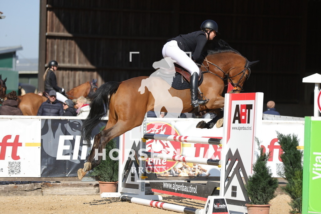 0P6A9744 | Willkommen bei Brunnmayr - Design & Fotografie – Ihrem Spezialisten für Reitturniere und Pferdeveranstaltungen in Oberösterreich, Salzburg und Bayern! Seit über 17 Jahren sind wir leidenschaftlich dabei.