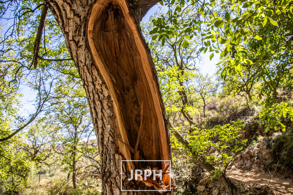 IMG_8872 | jrph - Realisiert mit Pictrs.com