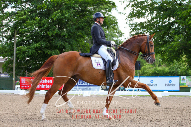 DKP41323 | Turnierfotos kaufen im Webshop von Daniel Kuhl Photography – entdecke professionelle Reitsportfotos aus Turnieren & Events. Hochwertige Turnierbilder online bestellen & sichern. Jetzt Fotos von Reitsportturnieren kaufen!