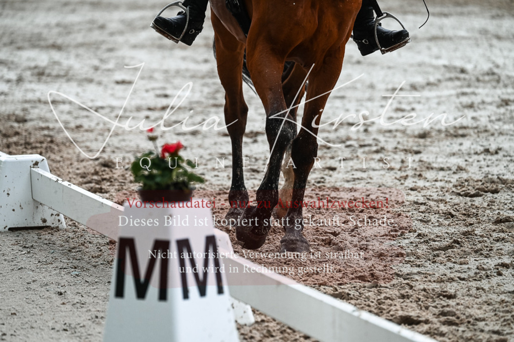 DSC_4380 | Pferde- und Turnierfotografie in Westsachsen. Pferdeportraits, Auftragszeichnungen und intuitive Kunst.