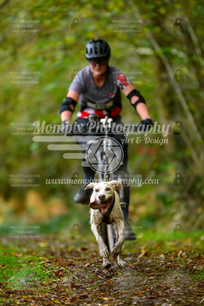 MompixPhotography_20TSB_E1_Bike-24 | PayLife