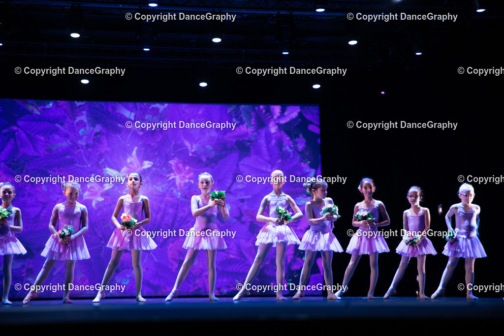 GPHY4863 | DanceGraphy - Realisiert mit Pictrs.com