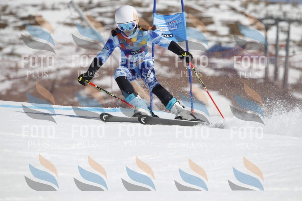 _U3G0511 | holidayphoto