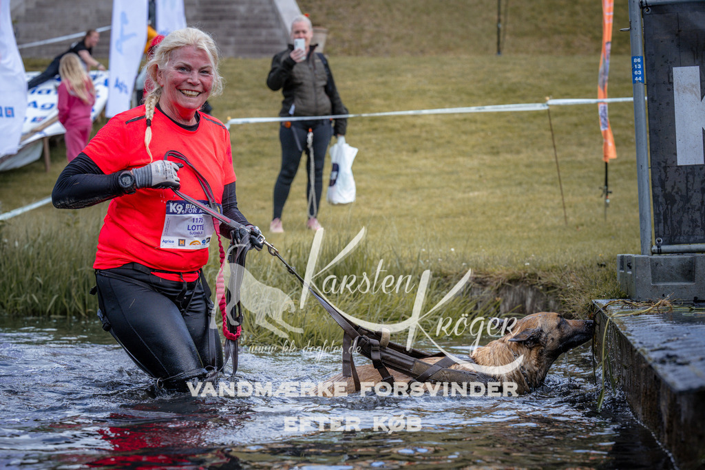 _ZZ911500912 | kk-dogfotos