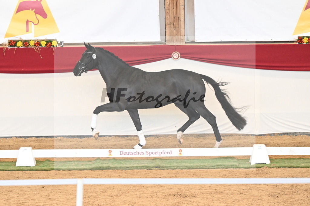 Kat.-Nr. 79 v. Toto Jr._Pfefferle_3260954 | hf-fotografie - Realisiert mit Pictrs.com