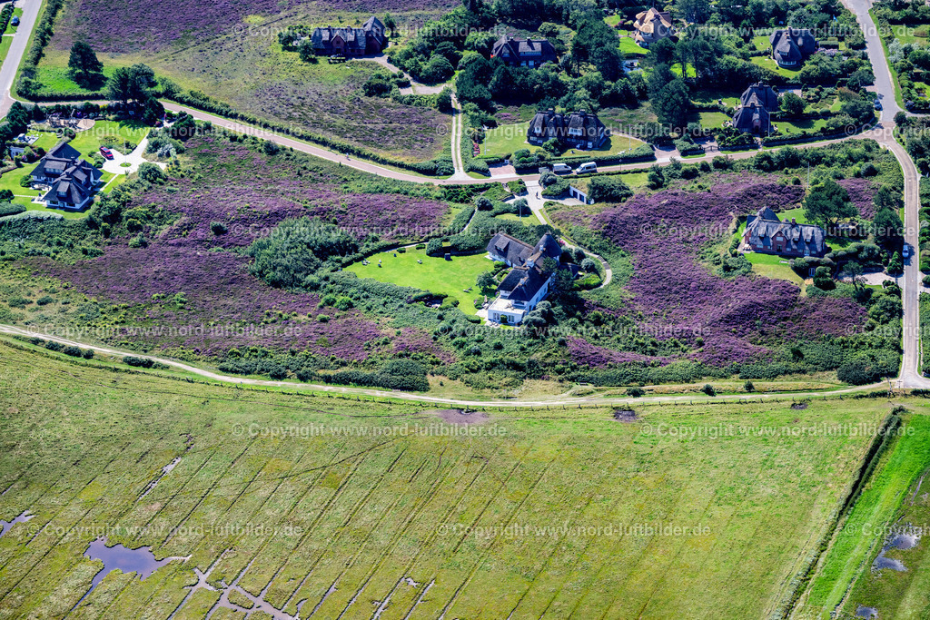 Sylt_Kampen_Ostseite_Klenderhof_Salzwiesen_ELS_4179130825 | KAMPEN (SYLT) 13.08.2025 Ferienhaus Anlage " Klenderhof " an der Straße Grönning in Kampen (Sylt) auf der Insel Sylt im Bundesland Schleswig-Holstein, Deutschland. // Holiday house plant of the park " Klenderhof " on street Groenning in Kampen (Sylt) on the island of Sylt in the state Schleswig-Holstein, Germany. Foto: Martin Elsen