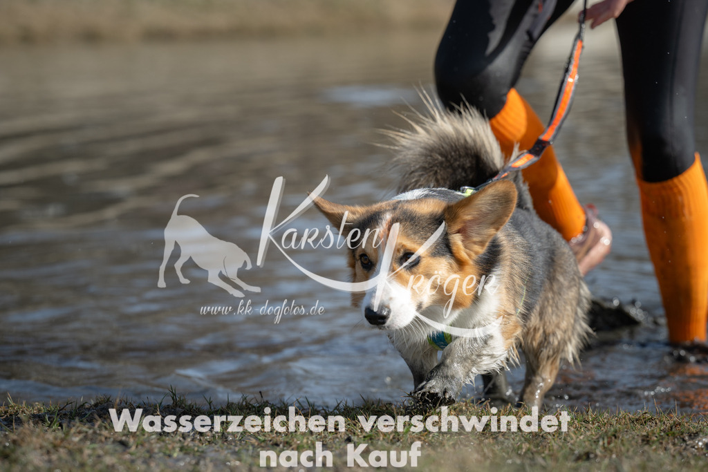 1313_ZZ95316 | kk-dogfotos