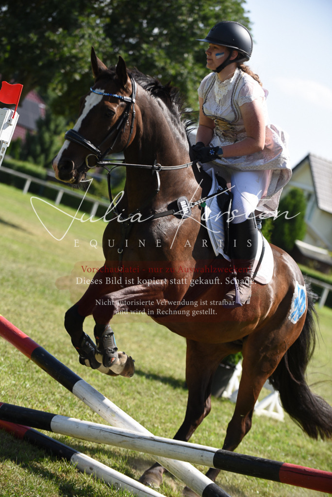 DSC_0370 | Pferde- und Turnierfotografie in Westsachsen. Pferdeportraits, Auftragszeichnungen und intuitive Kunst.