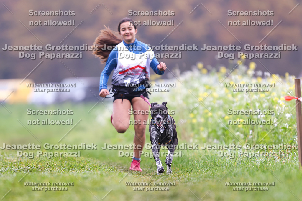 Dog Paparazzi - Visbeck 25 -335 | Dog Paparazzi Jeanette Grottendiek Fotografie & Videografie - Realisiert mit Pictrs.com