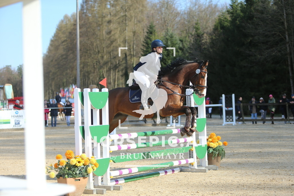 DL2Q3971 | Willkommen bei Brunnmayr - Design & Fotografie – Ihrem Spezialisten für Reitturniere und Pferdeveranstaltungen in Oberösterreich, Salzburg und Bayern! Seit über 17 Jahren sind wir leidenschaftlich dabei.