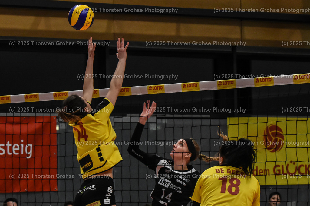 VBL VFB Suhl vs. SCHWARZ-WEISS Erfurt | Katarzyna Bryda #14 (VFB Suhl), Evyn Kaelee McCoy #14 (Schwarz-Weiss Erfurt), Krista DeGeest #18 (VFB Suhl); VBL VFB Suhl vs. SCHWARZ-WEISS Erfurt, Volleyball-Bundesliga Frauen am 17.02.2018 in der Multihalle in Meiningen, (Deutschland) - Realisiert mit Pictrs.com