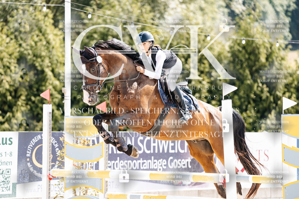 CK909182 | Turnierfotografie Pferdefotografie Trier Rheinland-Pfalz Pferdesport Reitsport Tierfotografie Sportfotografie Pferdevideo Pferdevideografie Equestrianvideography equestrianphotography  - Realisiert mit Pictrs.com