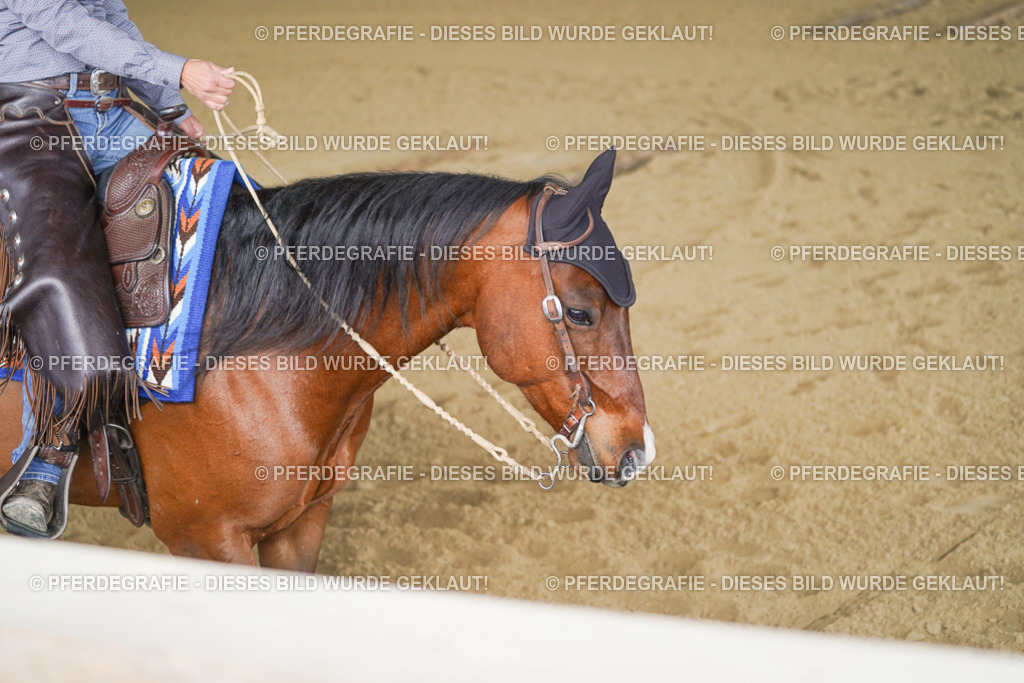 DSC02186 | Pferdegrafie