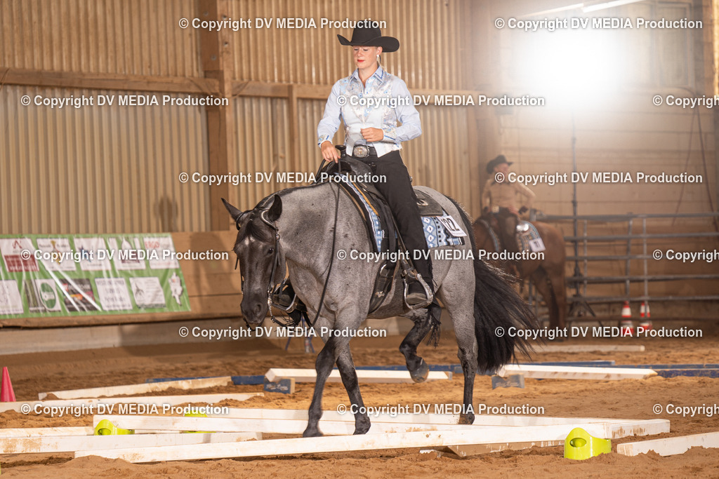 NID00683 | dv-media-shop - Realisiert mit Pictrs.com