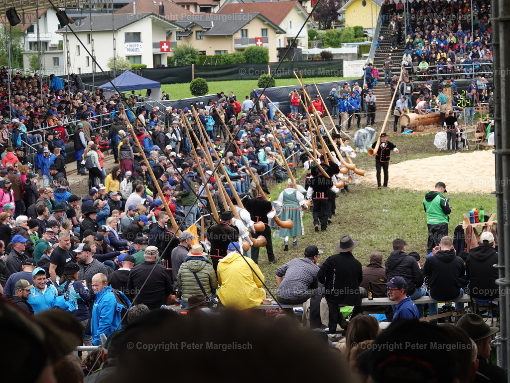 DSC07665 | Schwingen - Realisiert mit Pictrs.com