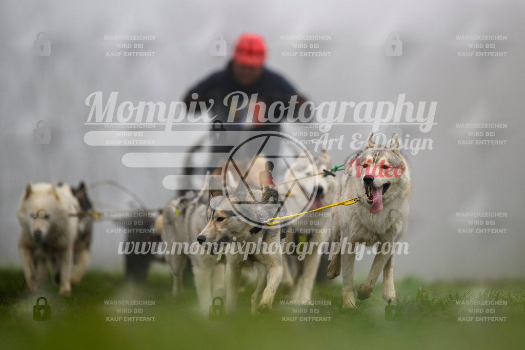 MompixPhotography_CDF2023_FFST_Di_Kart-96 | PayLife